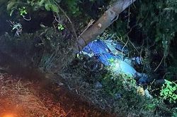 Nhặt bóng chuyền văng trong bụi cây, đụng thi thể đang phân hủy