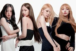 Người bán vé concert BlackPink ở Hà Nội đông gấp 21 lần người mua