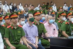 Các doanh nghiệp đã hối lộ như nào để thực hiện 'chuyến bay giải cứu'?
