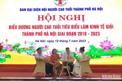 Tôn vinh người cao tuổi làm kinh tế giỏi