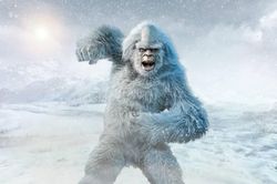 Giả thuyết sốc: Quái vật Bigfoot, người tuyết Yeti chỉ là... con gấu lớn?