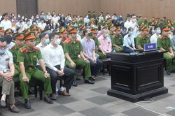 Cựu Thứ trưởng Tô Anh Dũng xin thành khẩn nhận tội