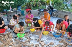 Bán được giá cao, người dân vùng núi Nghệ An nô nức săn tìm, bóc tách tổ ong
