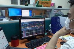 Chứng khoán Liên Việt thoát lỗ, nắm giữ loạt cổ phiếu DIG, MSN, TCB
