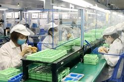 Tổng cầu giảm sâu, 'liều thuốc' nào để vực dậy?