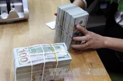 Giá USD hôm nay 12/7