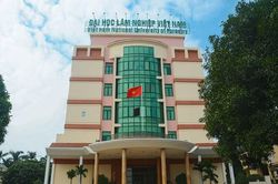 Điểm chuẩn học bạ Đại học Lâm nghiệp 2023