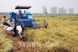 Hà Nội đẩy nhanh cơ cấu sản xuất hợp lý theo 3 vùng sinh thái