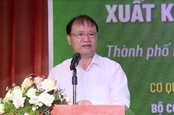 Kết nối giao thương các doanh nghiệp khu vực phía Nam với các đối tác trong nước và quốc tế