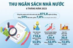 Nộp ngân sách hàng nghìn tỷ đồng từ xử lý sai phạm qua thanh tra tài chính