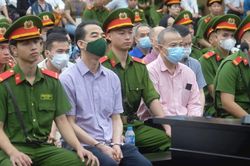 Các bị cáo trong vụ án 'chuyến bay giải cứu' khai gì tại tòa?