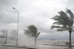 Xuất hiện vùng áp thấp ngoài khơi Philippines, Biển Đông có thể đón bão