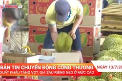 Tin Thị trường: Xuất khẩu tăng vọt, giá sầu riêng neo ở mức cao