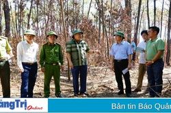 Kiểm tra công tác phòng cháy, chữa cháy rừng tại huyện Vĩnh Linh