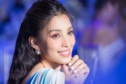 Tưởng quyết định sai lầm, Hoa hậu Tiểu Vy lại được khen ngợi khi làm việc này