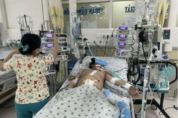 Sốt xuất huyết vào mùa