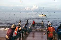 Ngư dân Sri Lanka đối mặt khủng hoảng kép