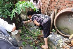Giao trách nhiệm cụ thể khi triển khai chiến dịch diệt loăng quăng, bọ gây
