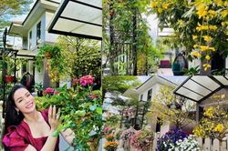 Bên trong biệt thự 20 tỷ rực rỡ sắc hoa của Nhật Kim Anh