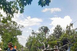 Lốc xoáy gây thiệt hại tại huyện Thanh Chương