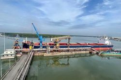 Va chạm giữa tàu container với tàu hàng tại cầu cảng do thời tiết xấu