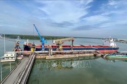 Bà Rịa - Vũng Tàu: Tàu container va chạm tàu hàng do thời tiết xấu