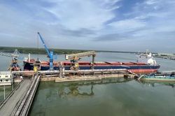 Hai tàu hàng va chạm trên sông Thị Vải, cầu cảng Interflour Cái Mép bị gãy