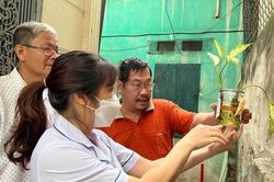 Biến đổi khí hậu làm gia tăng sốt xuất huyết và các bệnh lây truyền từ muỗi