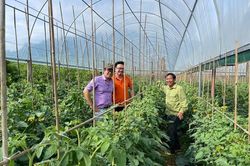 Sendo Farm - Nông sản sạch từ sự tận tâm