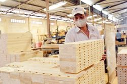 Doanh nghiệp xuất khẩu gỗ nỗ lực vượt khó, chuẩn bị cho giai đoạn phục hồi