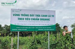 Hướng đi mới phát triển các sản phẩm OCOP ở Thái Nguyên