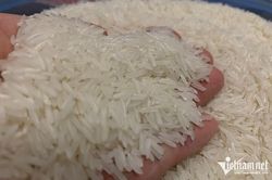 Nước lớn muốn cấm xuất khẩu, gạo Việt sẽ lợi lớn nhờ 'cú sốc giá'?