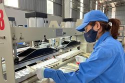 Doanh nghiệp ngành gỗ xoay xở để bước qua giai đoạn khó khăn