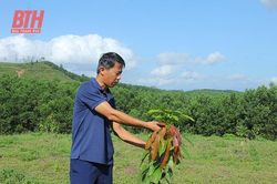 Đánh thức đồng đất