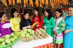 Để tổ chức Hội là 'ngôi nhà chung' của chị em