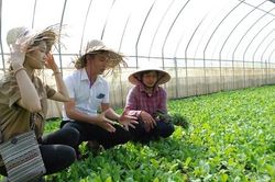 Đan Phượng đẩy nhanh xây dựng nông thôn kiểu mẫu