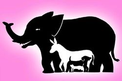 Bạn nhìn thấy bao nhiêu con vật trong bức hình này?
