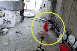 Thót tim cảnh bé trai bị điện giật và pha xử lý '10 điểm' của người bố