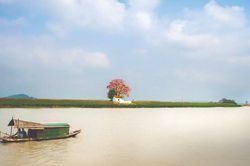 Tặng sông một đóa hoa
