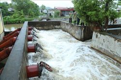 Ứng phó bão số 1: Ninh Bình sẵn sàng vận hành các công trình tiêu úng