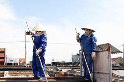 Hải Phòng: Giảm độ mặn cho nước mắm Cát Hải