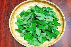Rau ngót mua về nhanh héo, làm theo cách này để 1-2 tuần vẫn tươi ngon