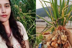 Cô gái sở hữu khu vườn đủ loại cây trái trên sân thượng