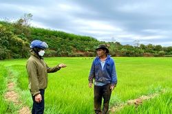 Gần 92 tỷ đồng thực hiện 2 chương trình mục tiêu quốc gia