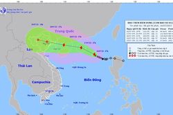 Công điện về chủ động ứng phó với cơn bão số 01