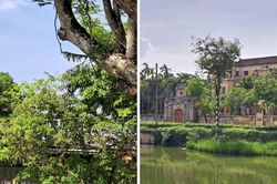 Những chặng đường qua sau ngày trở về Huế