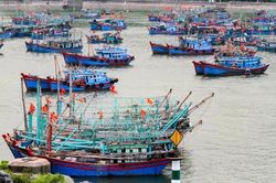 Ứng phó bão số 1, Quảng Ninh chỉ đạo sẵn sàng cấm biển khi có yêu cầu
