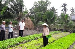 Khởi sắc vùng đồng bào dân tộc Khmer