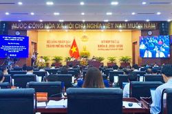 Đà Nẵng: 6 tháng xử lý 3.201 đơn thư, kiến nghị, phản ánh
