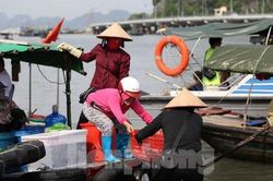 Quảng Ninh bắt đầu cấm biển, trên 1.000 người ứng trực chống bão